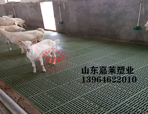 北京使用羊漏粪板几率高吗